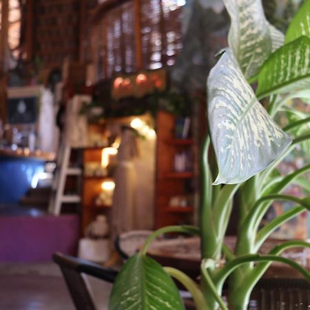 Posada Del Molino Todos Santos Kültér fotó